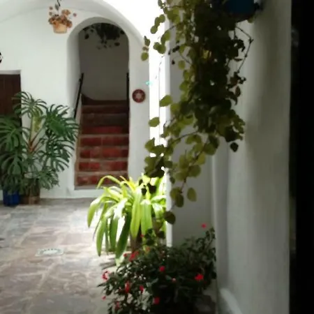 Casa El Patio Country house Vejer de la Frontera